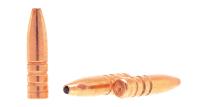 Купить Пуля 243 Win Rhino 95 gr Solid Shank (50шт/уп)