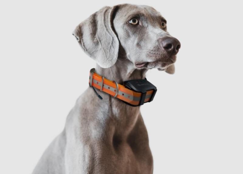 Охотничьи ошейники с GPS-трекером для собак ARTELV Tracker