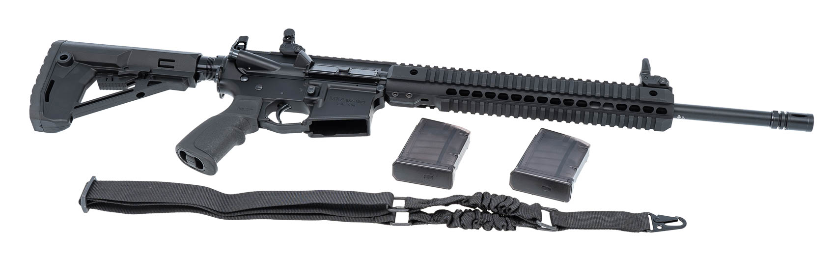 can 556 shoot 223