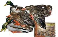 Купить Утиные профиля Real geese уток и селезней, голографические 12 шт