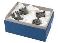 Купить Набор из 4-х стопок RORO удачный охоты