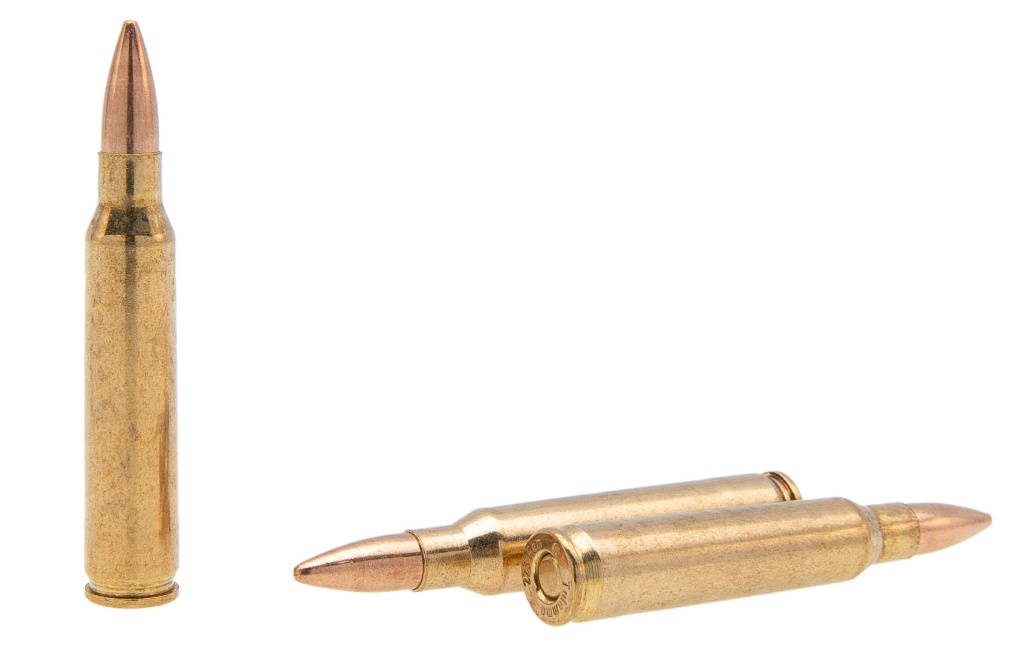 IMGP8755.jpg IMGP8755.jpg