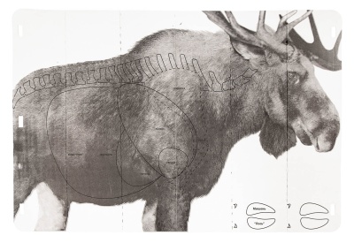 Купить Мишень "Лось"