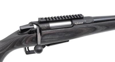 Купить Карабин А-01 кал. 308 Win ВК Short 460 тактика ламинат черный
