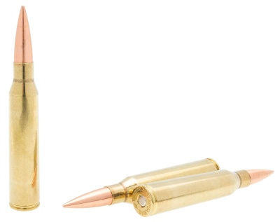 Патроны .338 Lapua Mag. с пулей Solid 16,19г (250gr) Rapira гильза ...