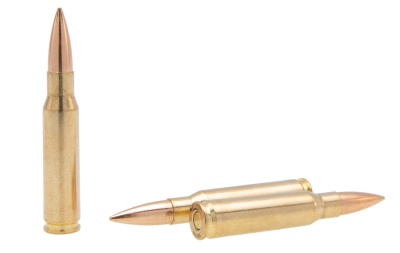 Купить Патроны 308 WIN (7,62*51) ТПЗ "Охота" 12,6г (195gr) оболочка латунная гильза латунная (20шт) 