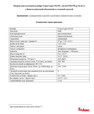 Купить 9х19 Люгер ТПЗ об. 6,1г (95gr) б/м (50шт)