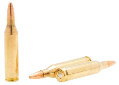 Купить Патроны  243 Win Norma 6,2 г Jaktmatch