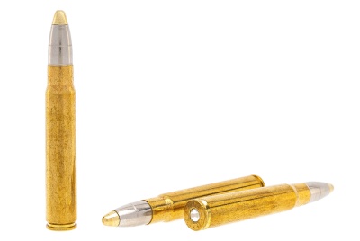 Купить Патроны к. 9,3x62 RWS пуля EVO 18,8 г