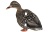Купить Утиные профиля Real geese уток и селезней, голографические 12 шт