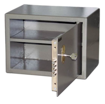 Купить ШКАФ №9 для оружия 255х355х240 10кг