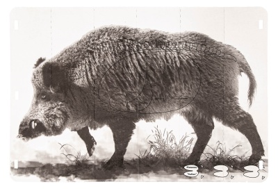 Купить Мишень "Кабан"