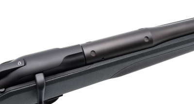 Купить Blaser R8 Pr Brown .30-06  